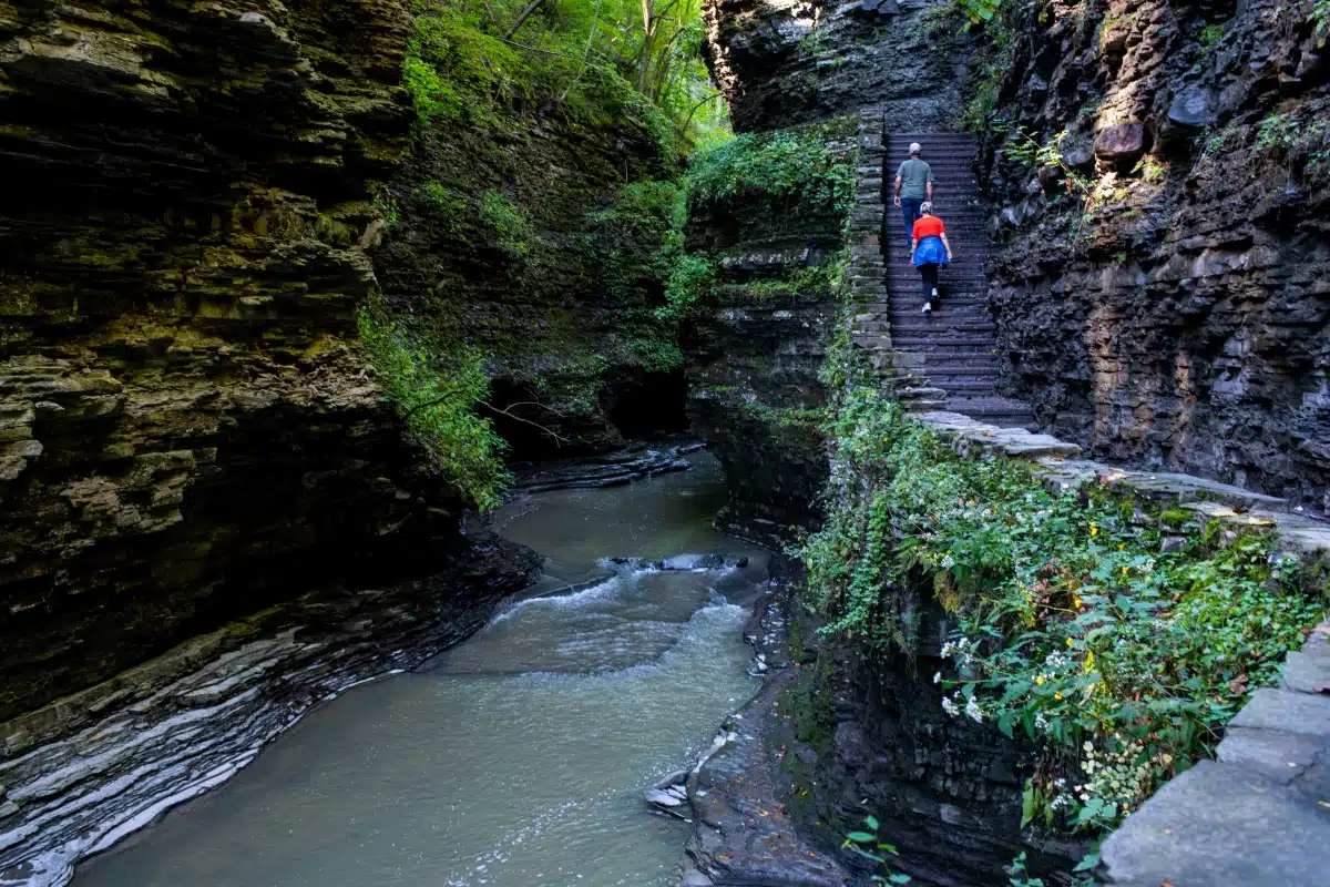 Watkins Glen State Park 2 Stone stairs at Watkins Glen State Park built by the CCC in the 1930s